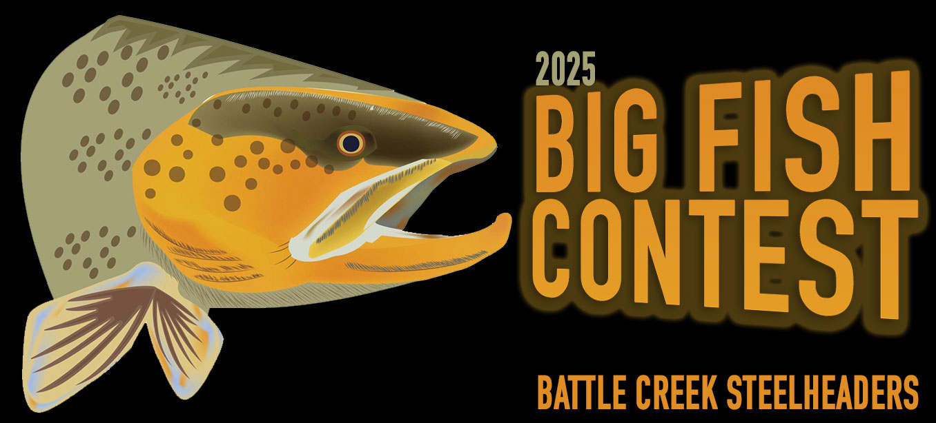 2025 Big-Fish